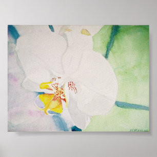 yellow speckeled orchid poster