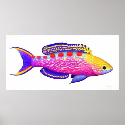 Yellow Spotted Anthias Reef Fish Poster (Vorne)