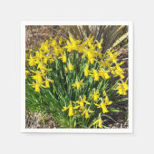 Yellow Spring Daffodien Paper Napkin Serviette (Vorderseite)