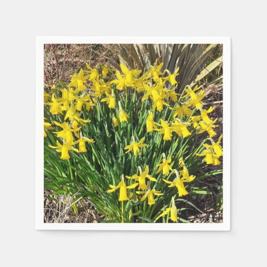 Yellow Spring Daffodien Paper Napkin Serviette (Vorderseite)