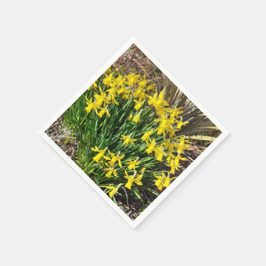 Yellow Spring Daffodien Paper Napkin Serviette (Ecke)