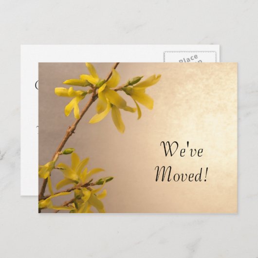 Yellow Spring Forsythia Adressenänderung Ankündigungspostkarte (Vorne/Hinten)
