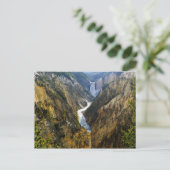 Yellow Stone Park Postcard Postkarte (Stehend Vorderseite)
