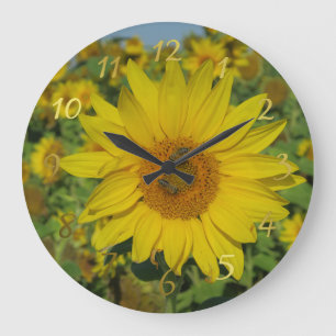 yellow sun flower summer blossom große wanduhr