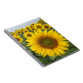 Yellow Sunflower Field Harvest Notebook Notizblock (Rechte Seite)