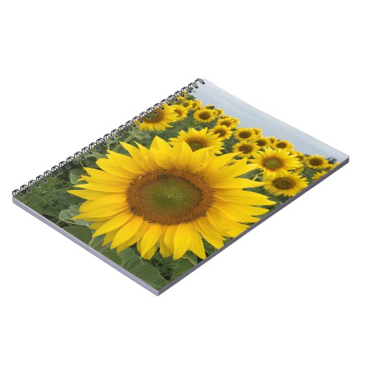 Yellow Sunflower Field Harvest Notebook Notizblock (Linke Seite)