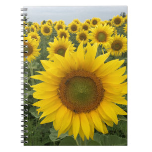 Yellow Sunflower Field Harvest Notebook Notizblock