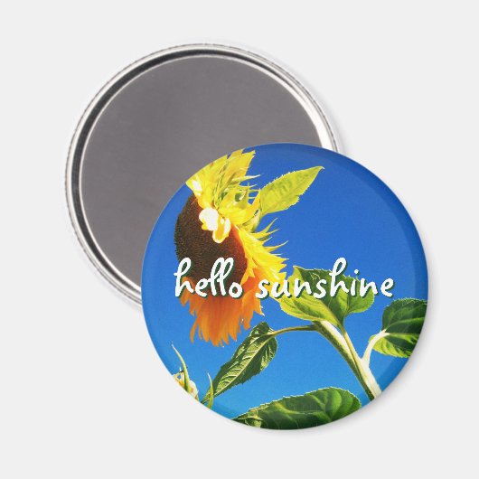 Yellow Sunflower Foto Hello Sunshine Script Bold Magnet (Vorderseite/Rückseite)