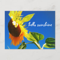 Yellow Sunflower Foto Hello Sunshine Script Bold