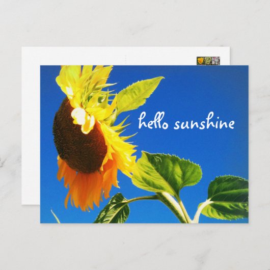 Yellow Sunflower Foto Hello Sunshine Script Bold Postkarte (Vorne/Hinten)