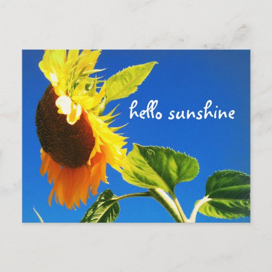 Yellow Sunflower Foto Hello Sunshine Script Bold Postkarte (Vorderseite)