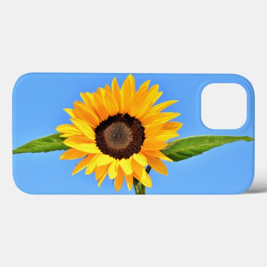 Yellow Sunflower iPhone Case (Rückseite (Horizontal))