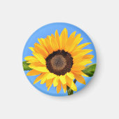 Yellow Sunflower Magnet Blue Sky (Vorne)