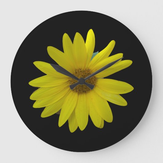 Yellow Sunflower on black background Große Wanduhr (Vorderseite)