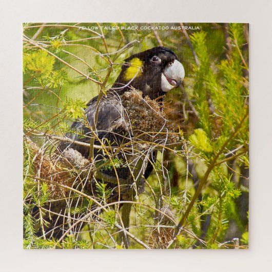 Yellow Tails Black Cockatoo Australien Puzzle (Vertikal)