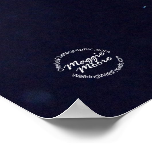 Yellow Tang Poster (Ecke)