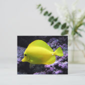 Yellow Tang Reef Fish Postkarte (Stehend Vorderseite)