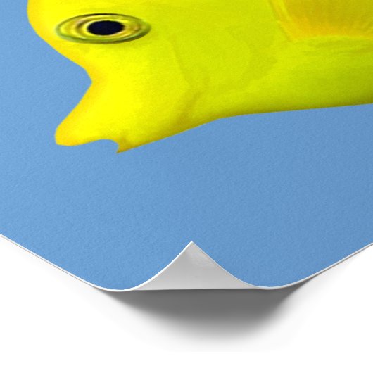 Yellow Tang Tropical Fish Poster (Ecke)