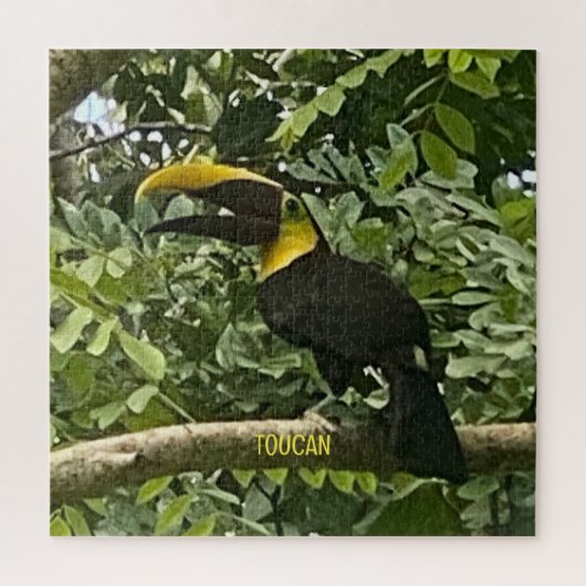 Yellow-Throated Toucan Costa Rica Design Puzzle (Vertikal)