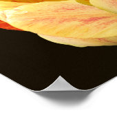 Yellow Tulip Blume Petals Bouquet Poster (Ecke)