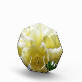 Yellow Tulip Bouquet Fotoblock (Rechts)