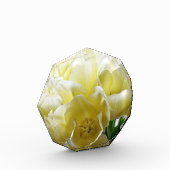 Yellow Tulip Bouquet Fotoblock (Links)