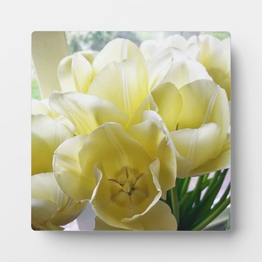 Yellow Tulip Bouquet Fotoplatte (Vorderseite)