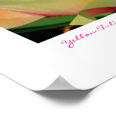 Yellow Tulip by Linda Becker FotoArt Poster (Ecke)