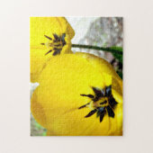 Yellow Tulip Foto Puzzle (Vertikal)