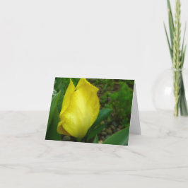 Yellow Tulip in Spring Rain Note Card Dankeskarte
