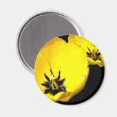 Yellow Tulip Magnet (Vorderseite/Rückseite)