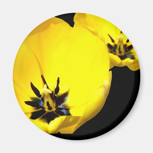 Yellow Tulip Magnet (Vorne)