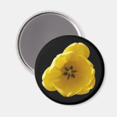 Yellow Tulip Magnet (Vorderseite/Rückseite)
