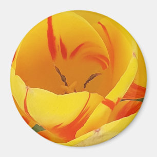 Yellow Tulip Magnet