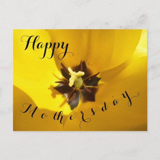 Yellow Tulip Nah Up Happy Mothersday Postcard Postkarte (Vorderseite)