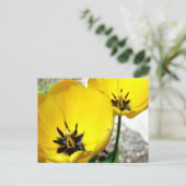 Yellow Tulip Postcard Postkarte (Stehend Vorderseite)