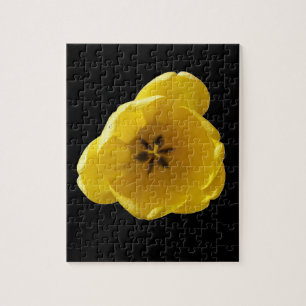 Yellow Tulip Puzzle