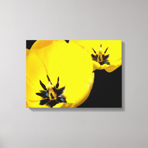Yellow tulip stamen und pollen Canvas Print Leinwanddruck