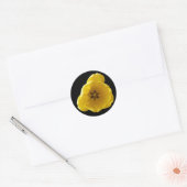 Yellow Tulip Sticker (Umschlag)