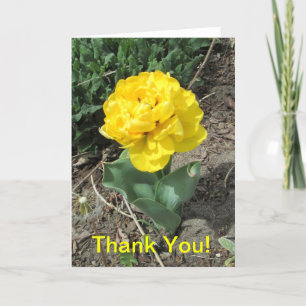 Yellow Tulip Thank You Card Dankeskarte