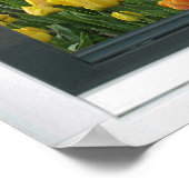 Yellow Tulips Blue Sky Spring Window View Poster (Ecke)