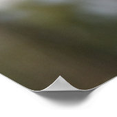 Yellow Tulips Print Poster (Ecke)