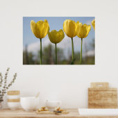 Yellow Tulips Print Poster (Küche)