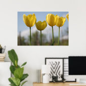 Yellow Tulips Print Poster (Heimbüro)