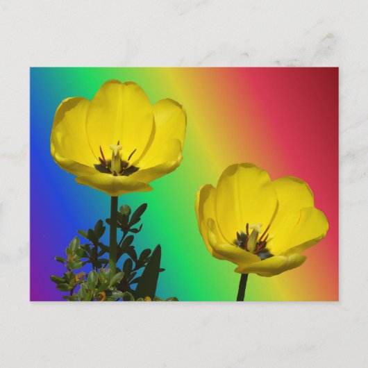 Yellow Tulips Rainbow DIY Postkarte (Vorderseite)