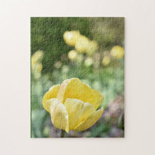 Yellow Tulips Regent's Park Blume London England Puzzle