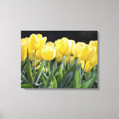 Yellow Tulips Wrapped Canvas Art Print Leinwanddruck (Vorderseite)