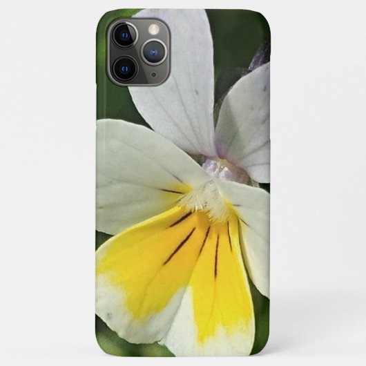 Yellow Viola Blume Case-Mate iPhone Hülle (Rückseite)