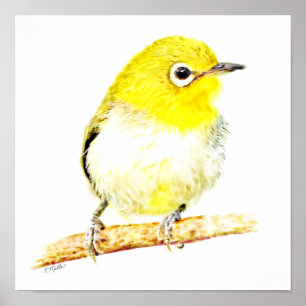 Yellow Viro Poster