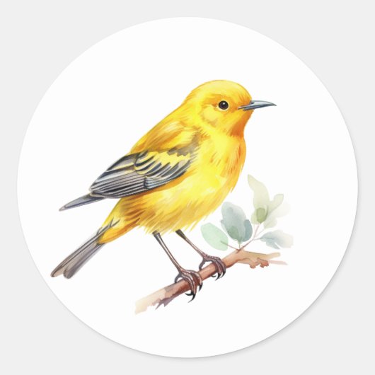 Yellow Warbler Bird Stickers (Vorderseite)